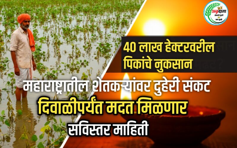 ​महाराष्ट्रातील शेतकऱ्यांवर दुहेरी संकट: ४० लाख हेक्टरवरील पिकांचे नुकसान | दिवाळीपर्यंत मदत मिळणार?