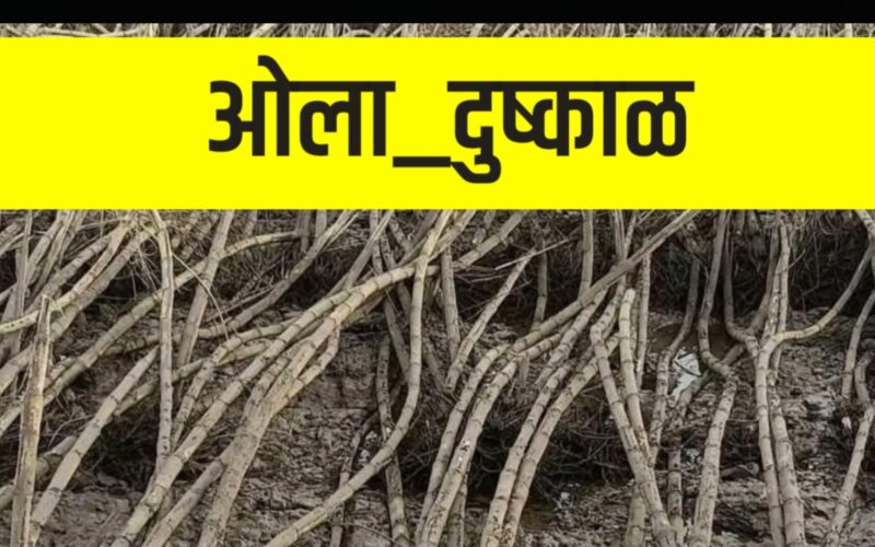 31 हजार 628 कोटी हा आकडा मोठा, पण तुमच्या वाट्याला किती येणार ते नीट समजून घ्या…